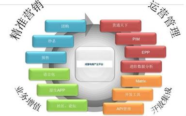 電商運營高手為何不自創品牌？解析平臺開發與運營的深層邏輯